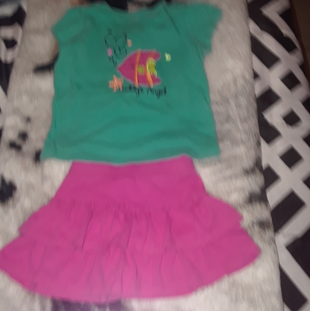 Top an skirt set